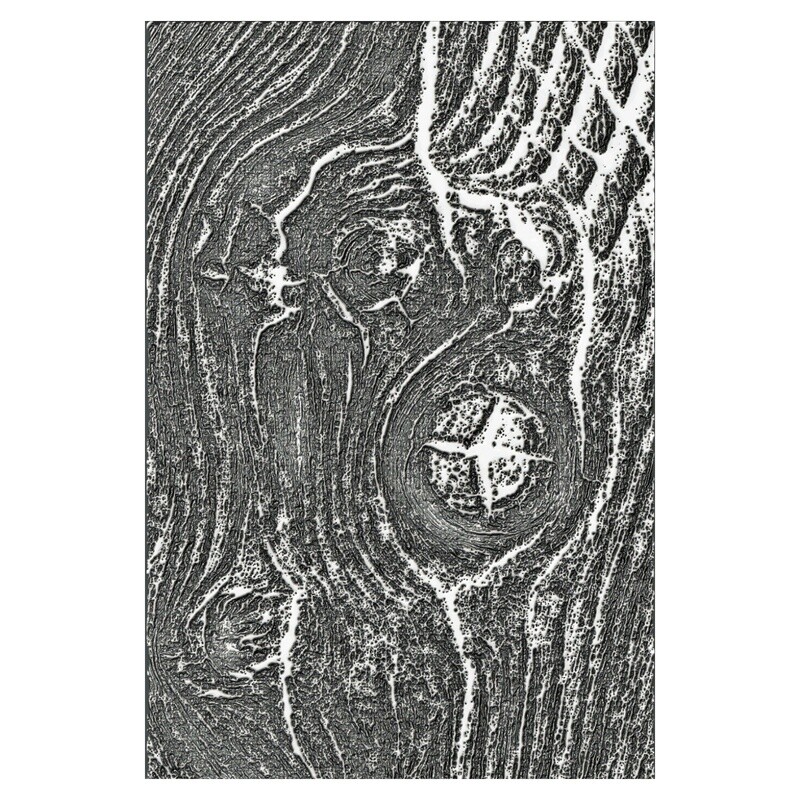 Tim Holtz Sizzix 3-D Texture Fades Woodgrain