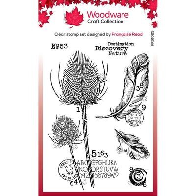Woodware Craft Collection Clear Stamp Set Singles Discovery 6/pkg