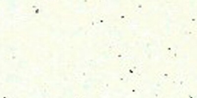 Elizabeth Craft Designs Silk Microfine Glitter - Warm Diamond