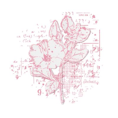 49 and Market Stamps with Framelits - Floral Mix Cluster