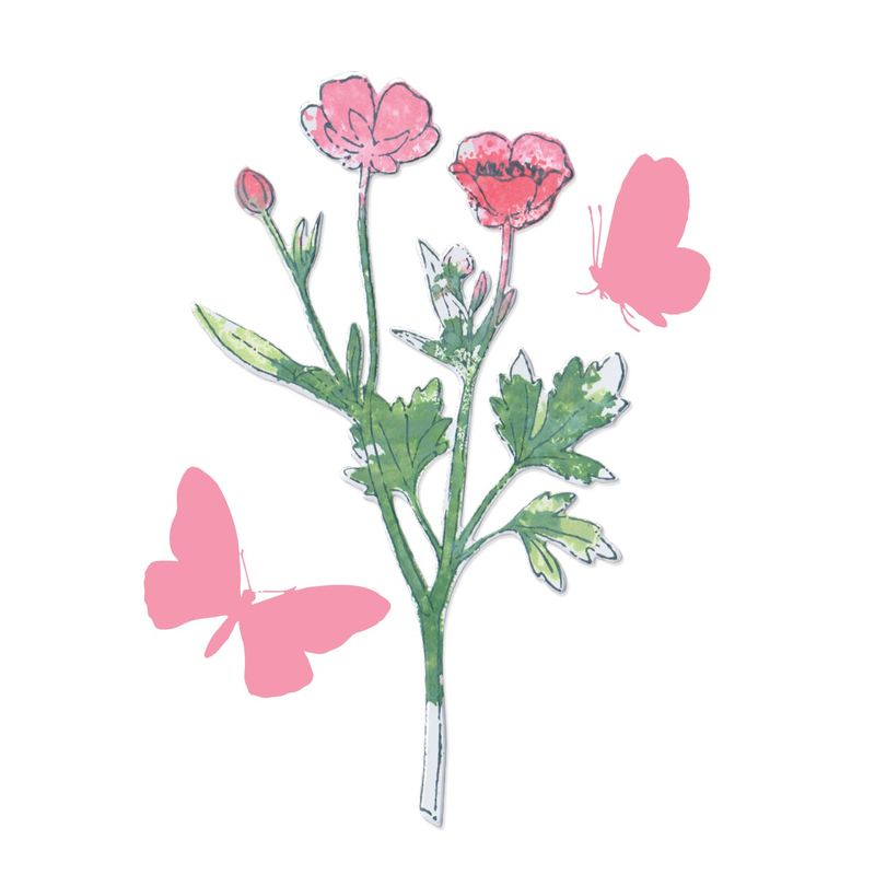 49 and Market Stamps with Framelits - Painted Pencil Botanical