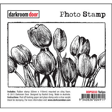Darkroom Door Photo Stamp - Assorted