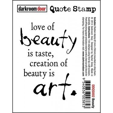 Darkroom Door Quote Stamp - Assorted