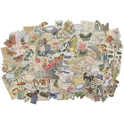 Tim Holtz Idea-ology Ephemera Pack Field Notes Snippets