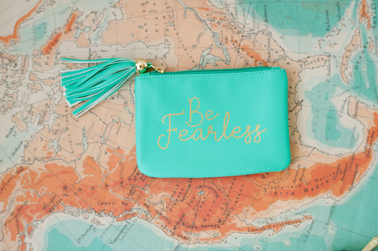Mint Be Fearless Coin Purse