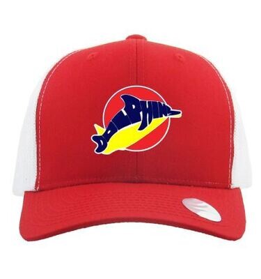 Dolphins Trucker Hat (LEXD)