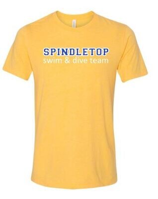 Spindletop Swim & Dive Team Bella + Canvas® Youth Triblend Short Sleeve Tee (SSD)