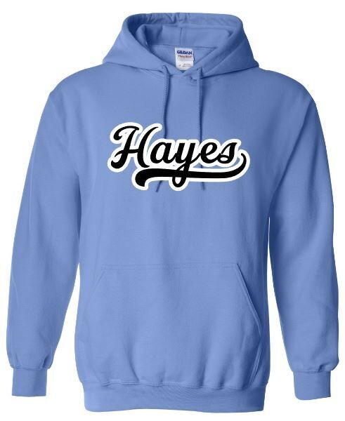 Unisex Adult Hayes Retro Sweatshirt (HDT)