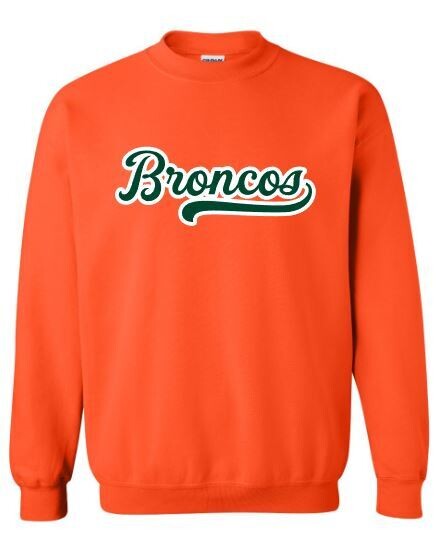 Adult Broncos Applique Crewneck Sweatshirt (FDL)