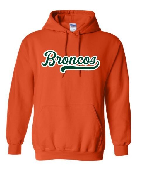 Youth or Adult Broncos Hooded Sweatshirt