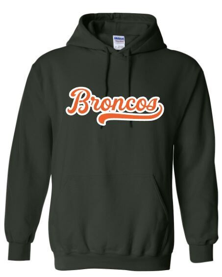 Adult Broncos Applique Hooded Sweatshirt (FDL)