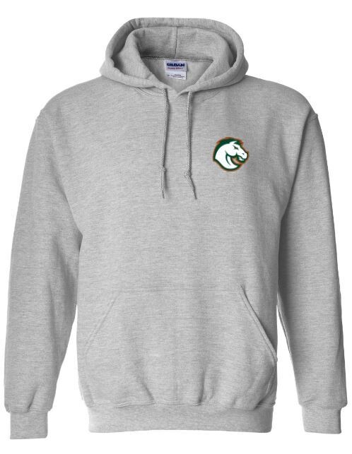 Youth Hooded Sweatshirt with Choice of Logo
