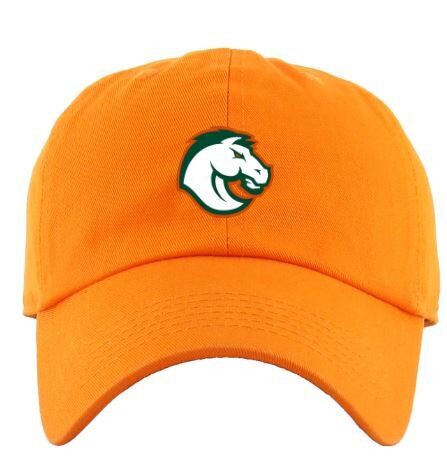 Distressed or Non-Distressed Cap with Choice of Douglass Logo (FDGS)