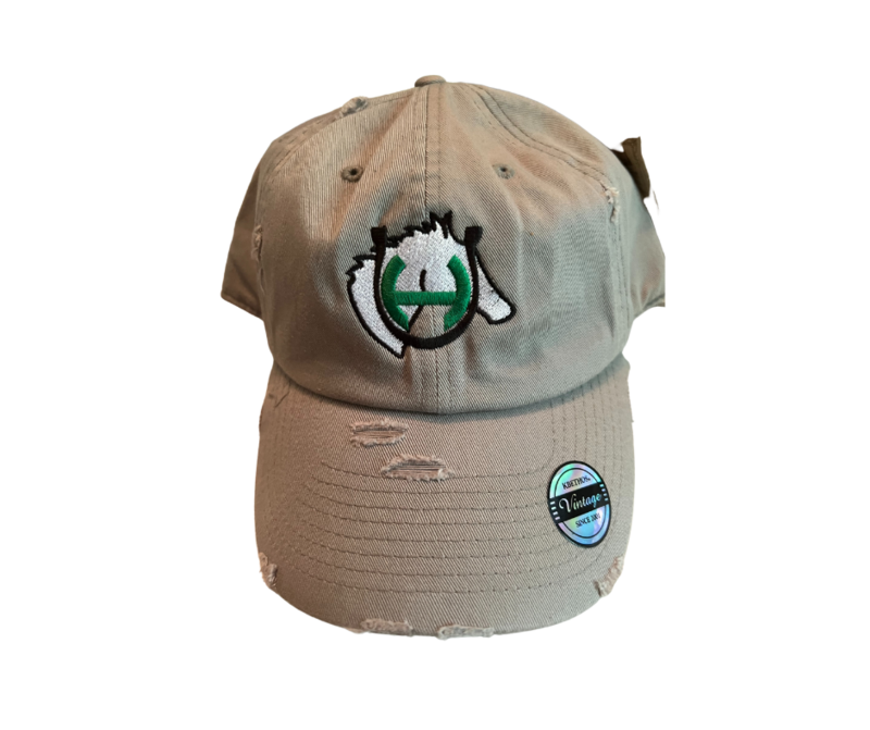 Hartland Swim &amp; Dive Team Ball Cap (HSDT)