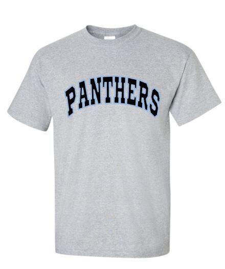 Youth Arced Panthers Softstyle Short Sleeve Tee (HCT)