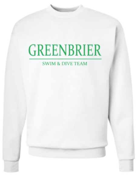 Youth Greenbrier Swim &amp; Dive Team Embroidered Hanes Ecosmart® Crewneck Sweatshirt