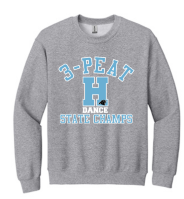 Youth or Adult 2024 State Champs Sweatshirt (HDT)