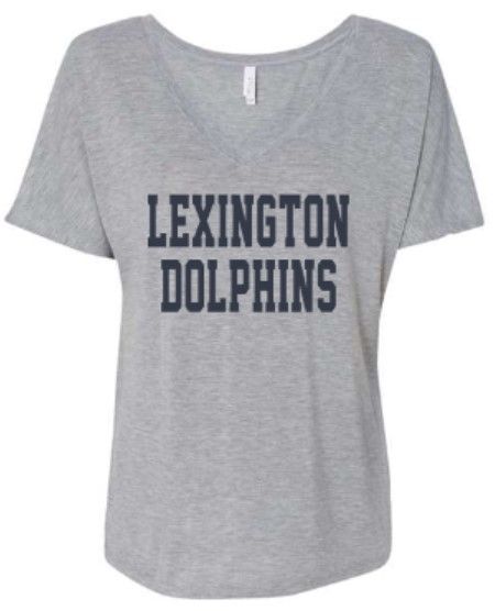 Ladies Lexington Dolphins Bella + Canvas Slouchy V-Neck Tee (LEXD)