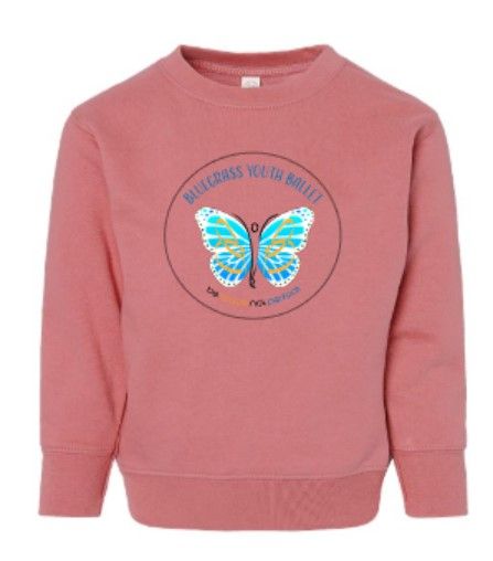 Toddler Fleece Crewneck Sweatshirt (BYB)