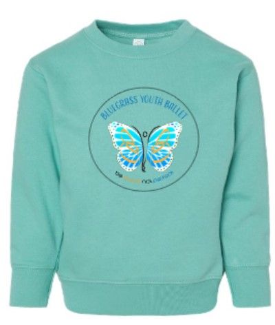 Toddler Fleece Crewneck Sweatshirt (BYB)