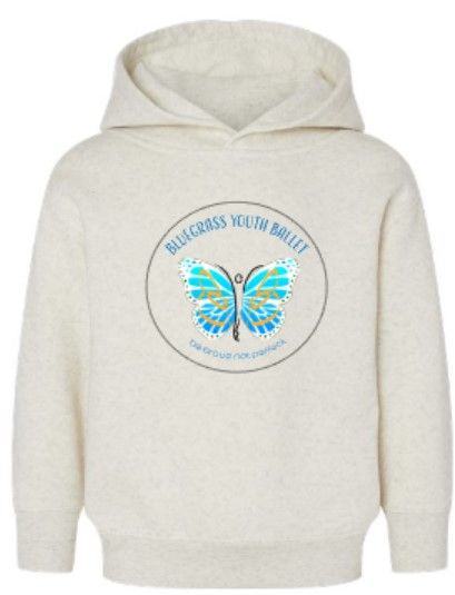 Toddler Fleece Hooded Sweatshirt (BYB)