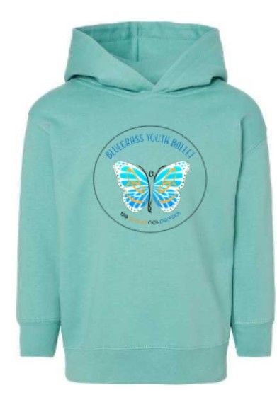 Toddler Fleece Hooded Sweatshirt (BYB)