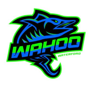 Waterford Waverunners