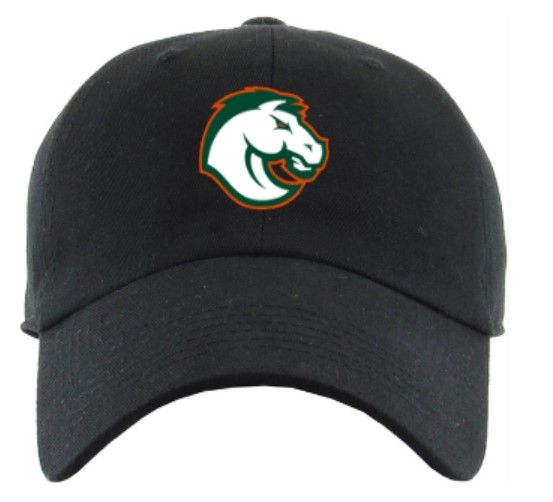 Bronco Distressed or Non-Distressed Cap (FDHSC)