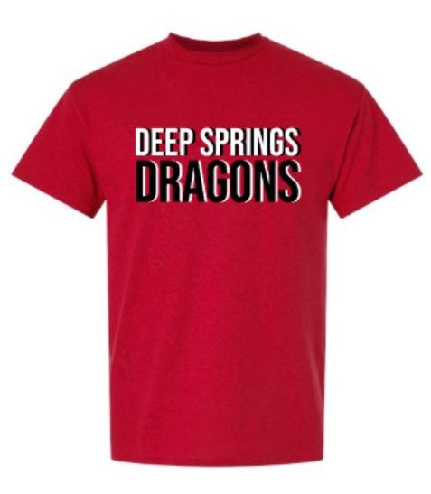 Youth or Adult Deep Springs Dragons Gildan DryBlend® Short Sleeve Tee (DSE)