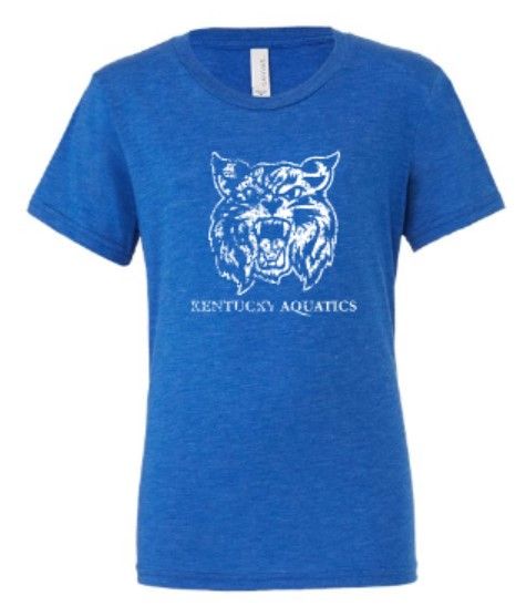 Youth Distressed Wildcat Kentucky Aquatics Bella + Canvas Triblend Short Sleeve Tee (KA)