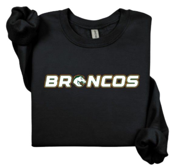 Youth or Adult Broncos Sweatshirt (FDGS)