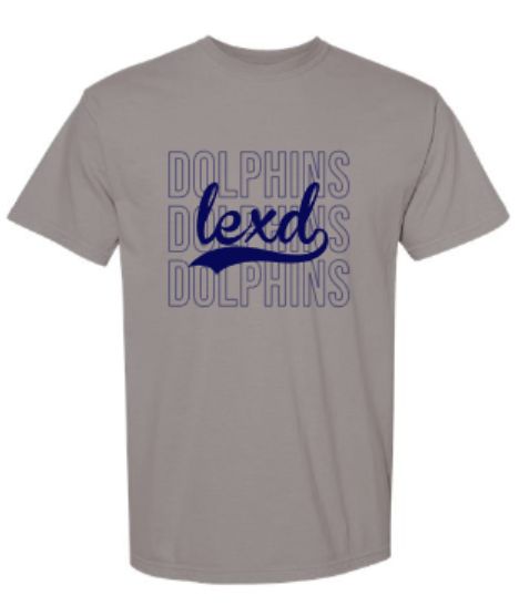Youth Or Adult lexd DOLPHINS Comfort Colors Garment-Dyed Heavyweight Short Sleeve Tee (LEXD)