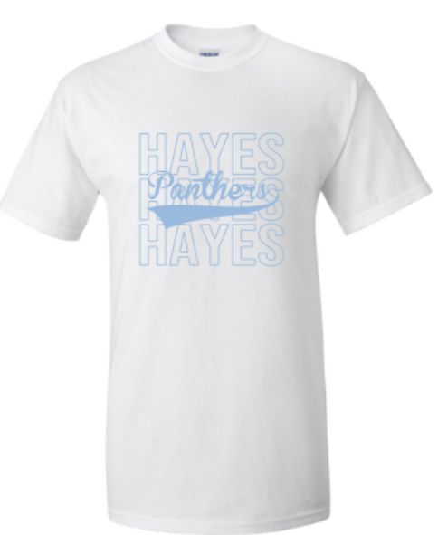 Youth or Adult PANTHERS Hayes Stacked Short or Long Sleeve Tee (EJHDT)