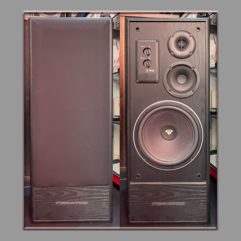 CERVING VEGA E-310