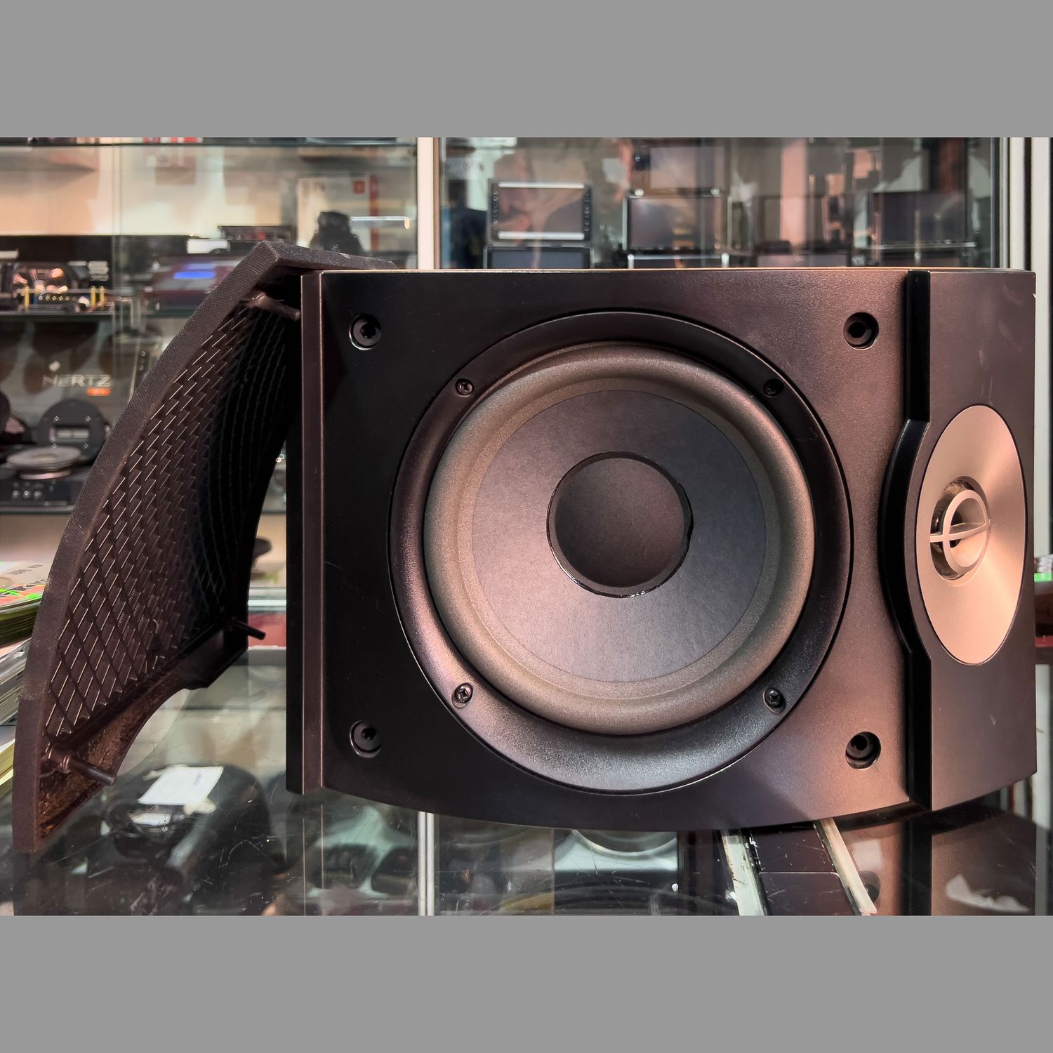 BOSE. 301 V