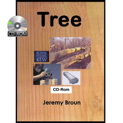 Tree - The story of a tree -  for young children - interactive CD-Rom
