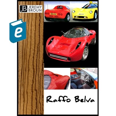 RAFFO BELVA sports car. A FREE video integrated e-manual on a rare kitcar being re-built and modified by designer maker Jeremy Broun who has owned more cars and motorbikes than eaten hot breakfasts!