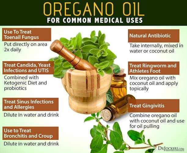Oregano Essential Oil - 30ml