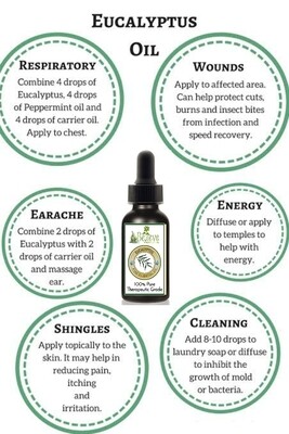 Eucalyptus Essential Oil 30ml