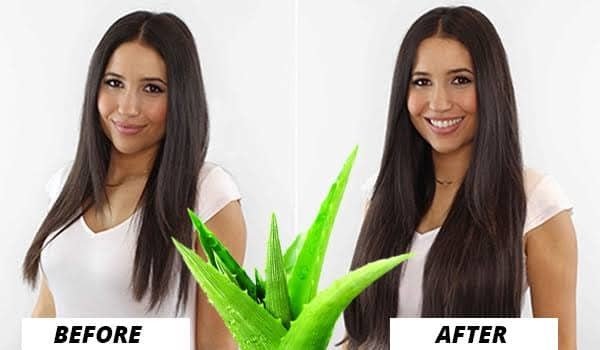 Aloe Vera Pure Gel