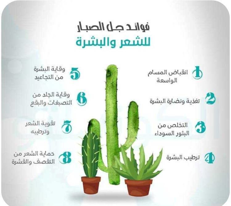 Aloe Vera Pure Gel