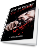 How To Prevent Car Hijacking E-Book