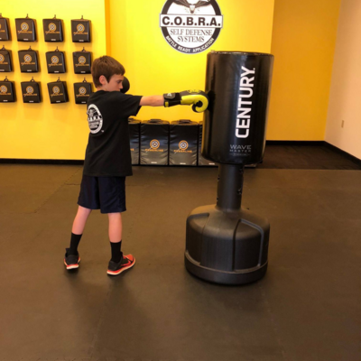 C.O.B.R.A. Fighting Systems For Kids