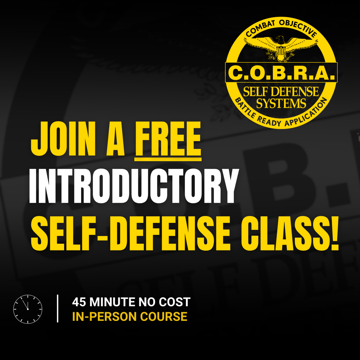 FREE INTRODUCTORY SELF-DEFENSE CLASS