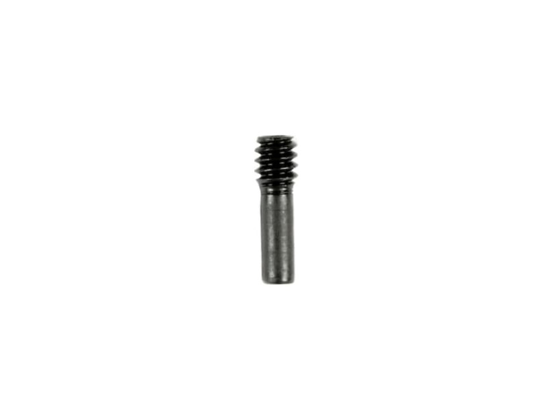 Bolt Catch Screw