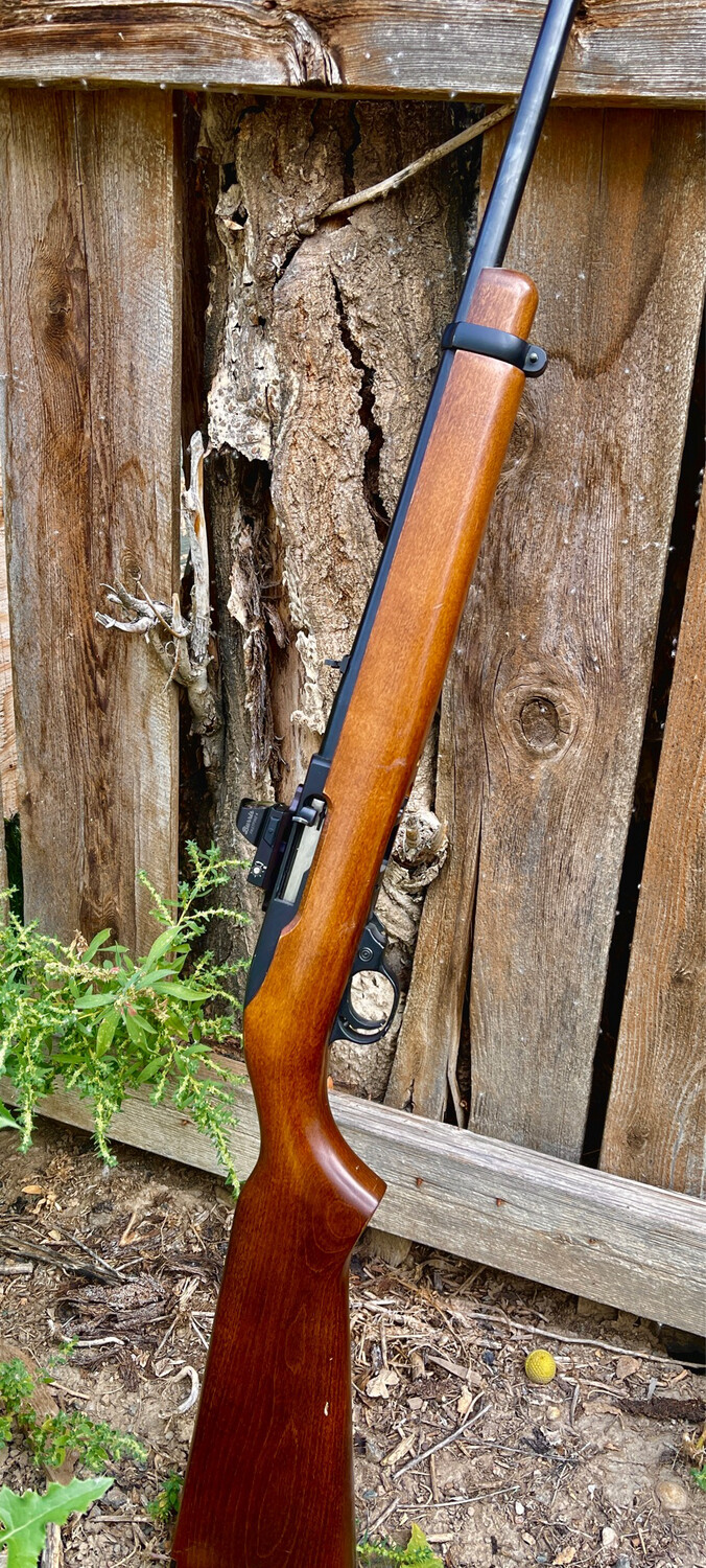 Ruger 10/22 Red Dot Mount
