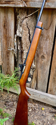Ruger 10/22 Red Dot Mount