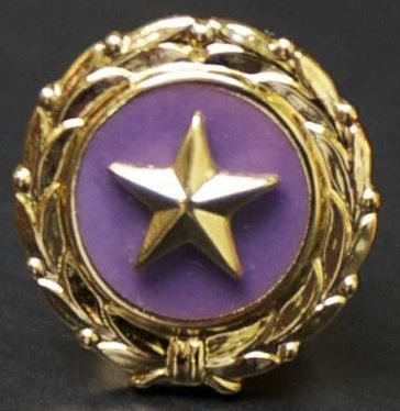 Gold Star Families