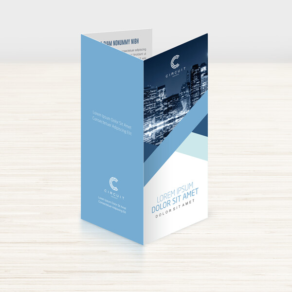 1,000 Tri-Fold Brochures with Custom Design