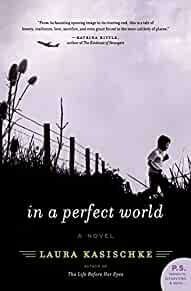 In a Perfect World: A Novel